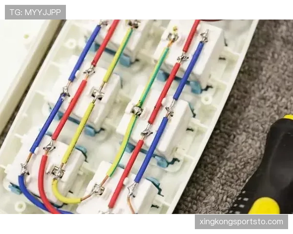 规则拆解型：门线判定标准详解，如何准确识别全球过门线？